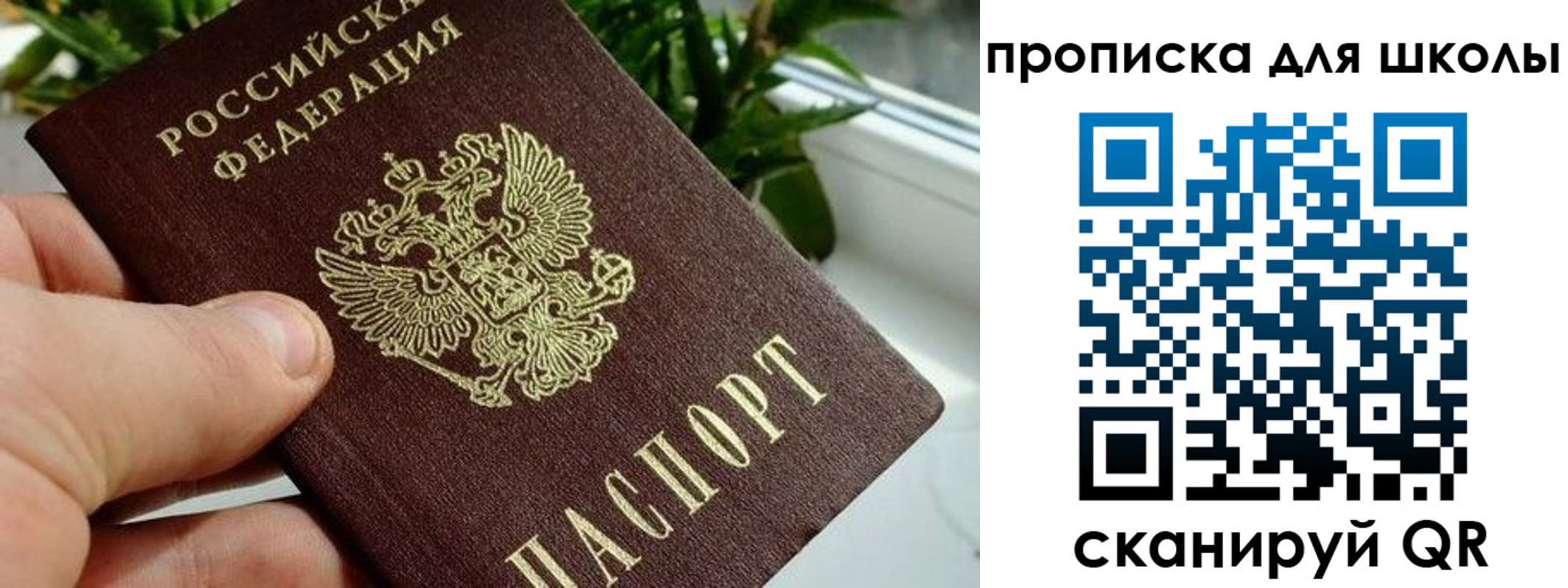 найти адрес прописки в Мурманске
